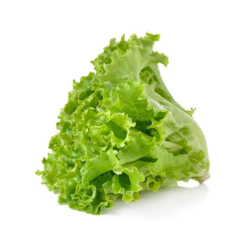Green Ice Lettuce