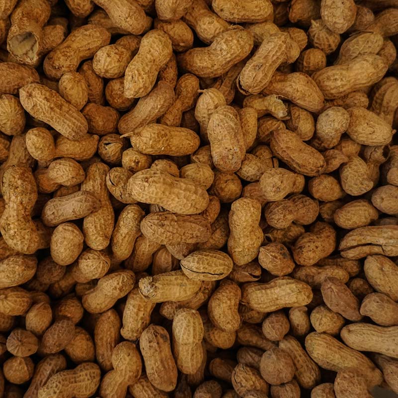 Peanuts