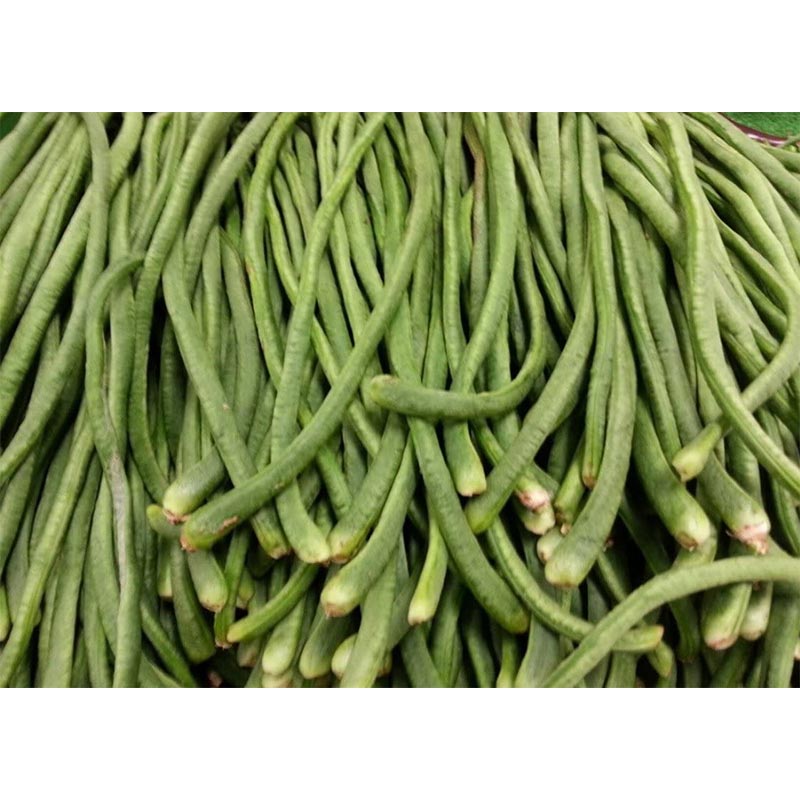 String Beans (Sitaw)