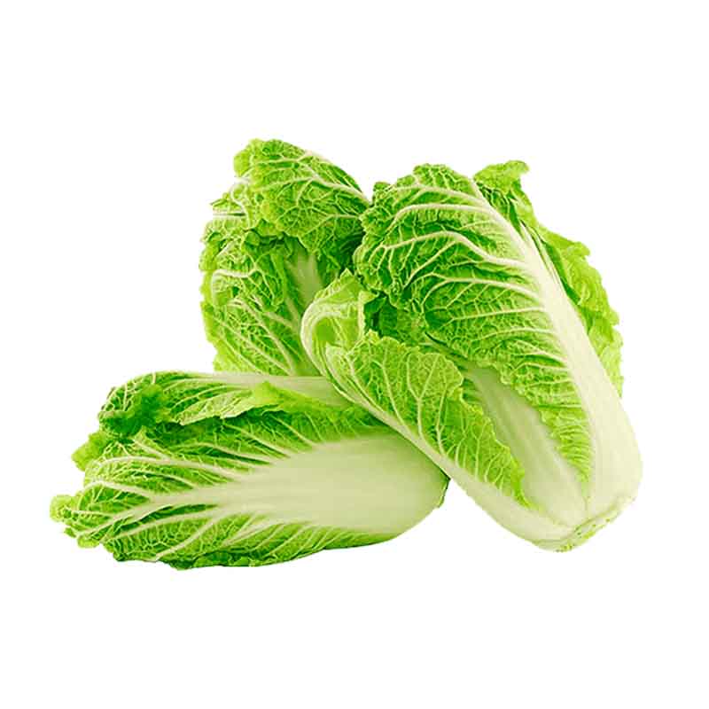 Chinese Cabbage (Baguio Pechay)