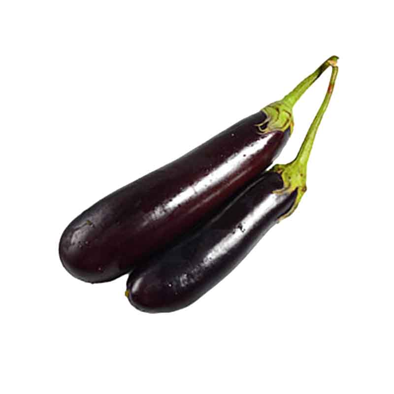 Eggplant