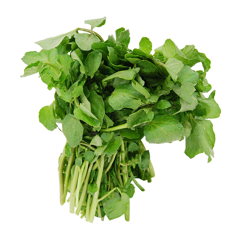 Watercress