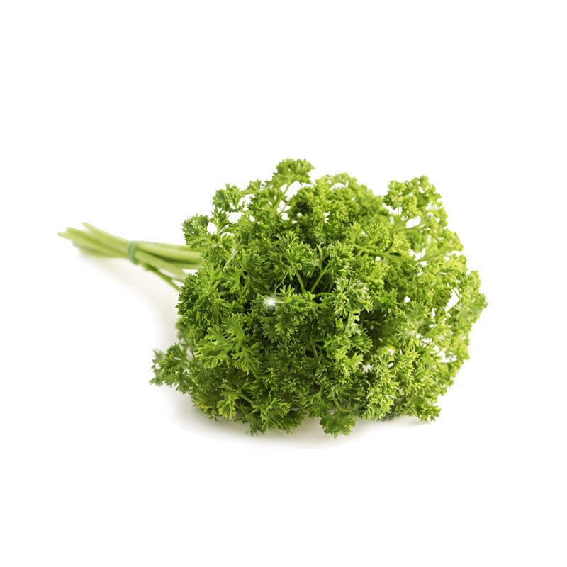 Parsley (Curly)