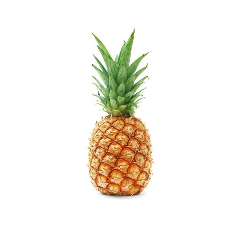 Pineapple (Medium Size)